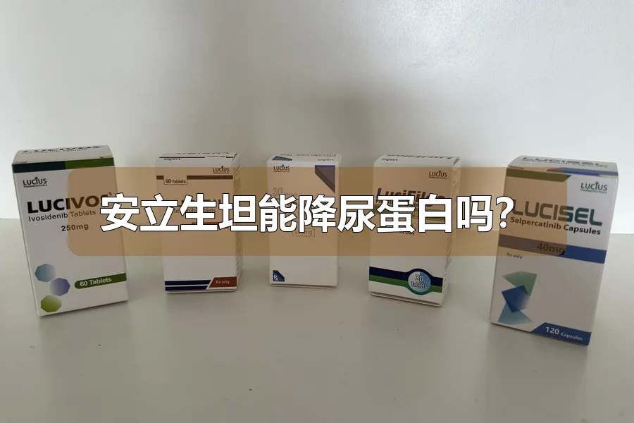 安立生坦能降尿蛋白吗？